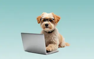 Manage your DogPack store effortlessly