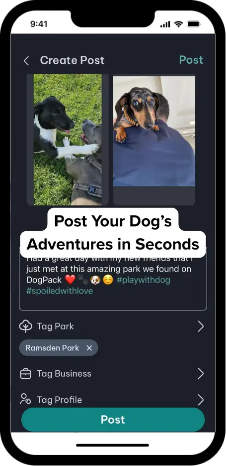 DogPack Post feature - Share photos, videos, and updates with the DogPack community