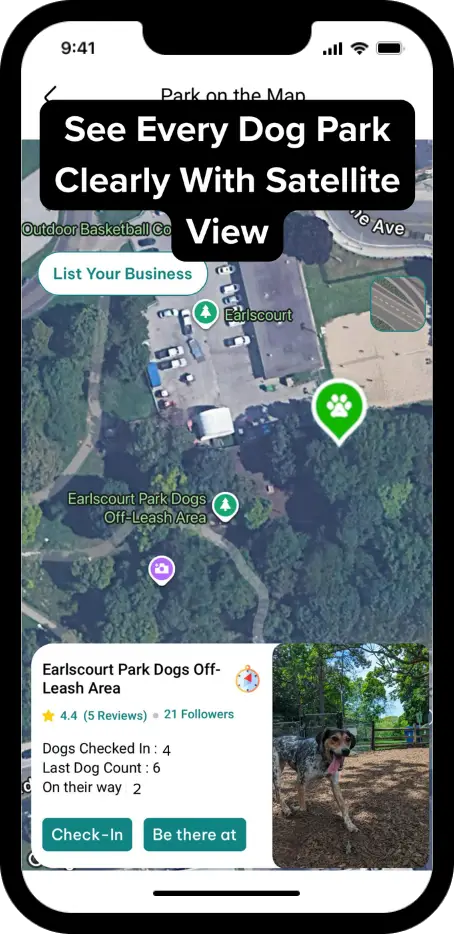 DogPack Satellite feature - Satellite view for better navigation and location discovery
